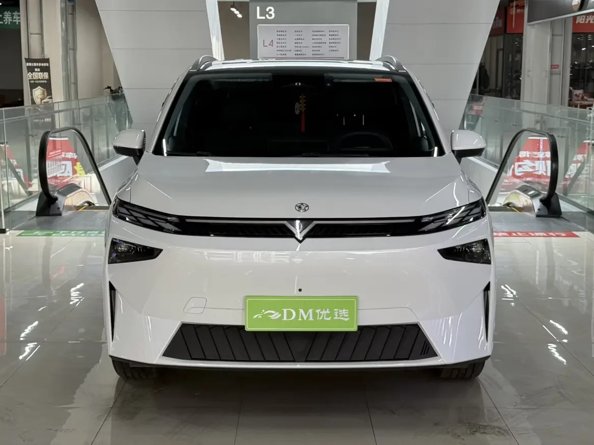 Venucia VX6
