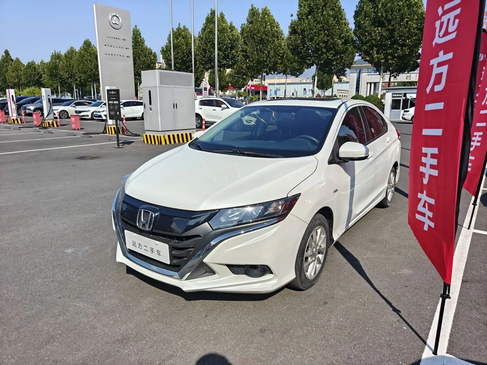 Honda Gienia