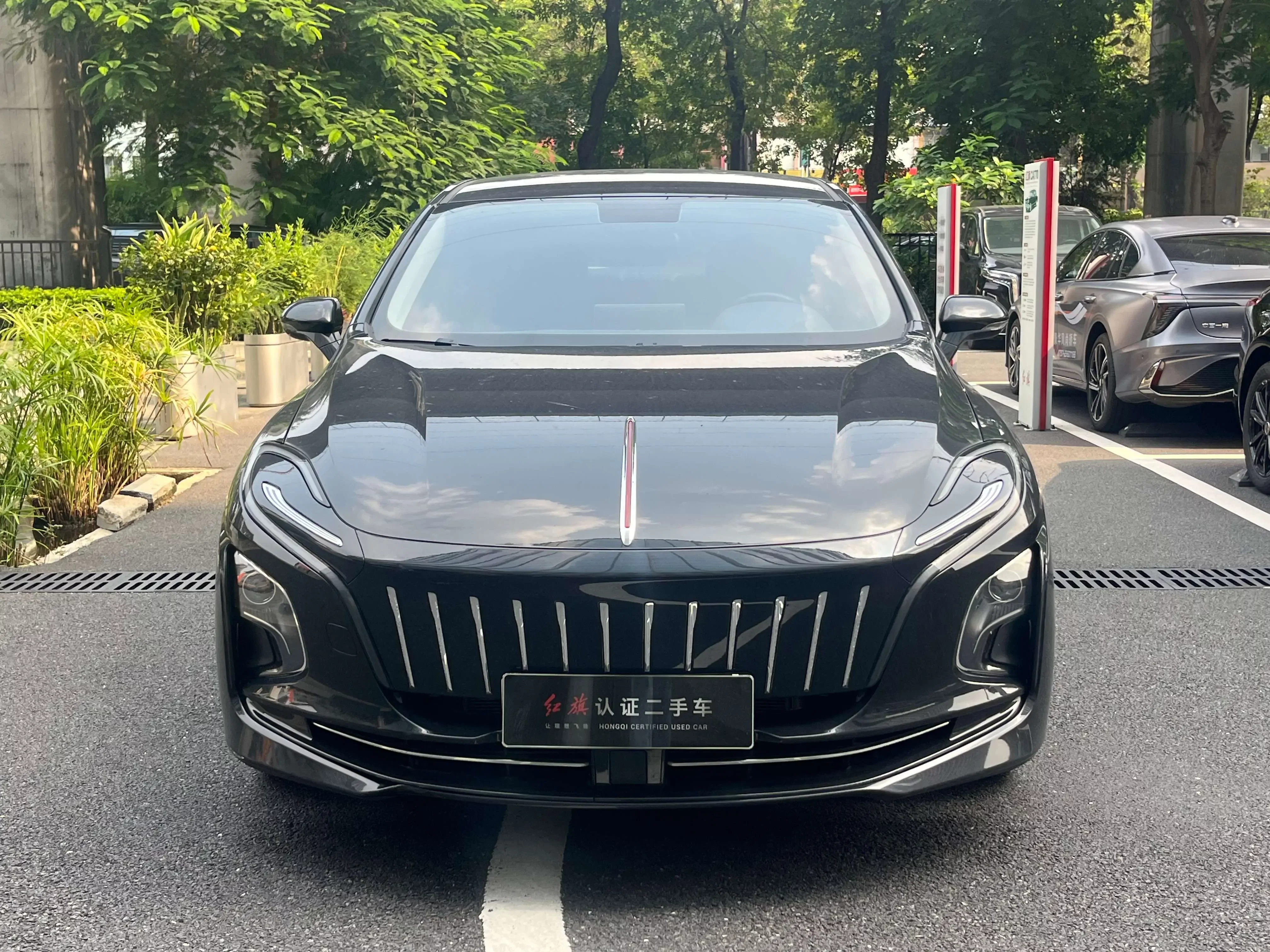 Hongqi E-QM5