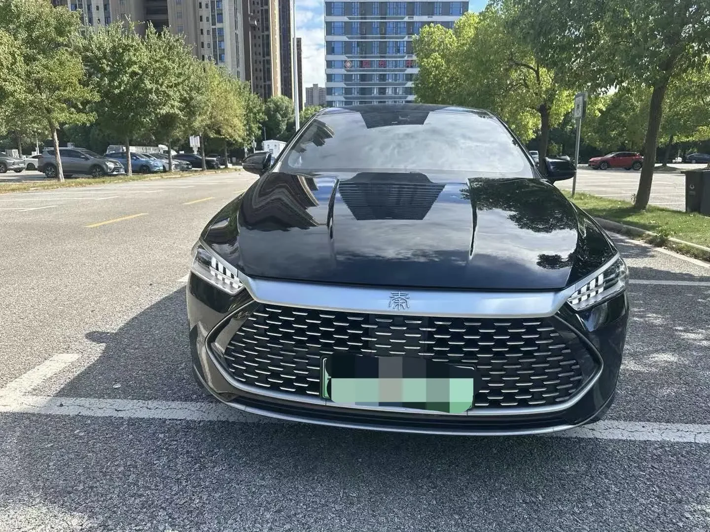 BYD Qin PLUS DM