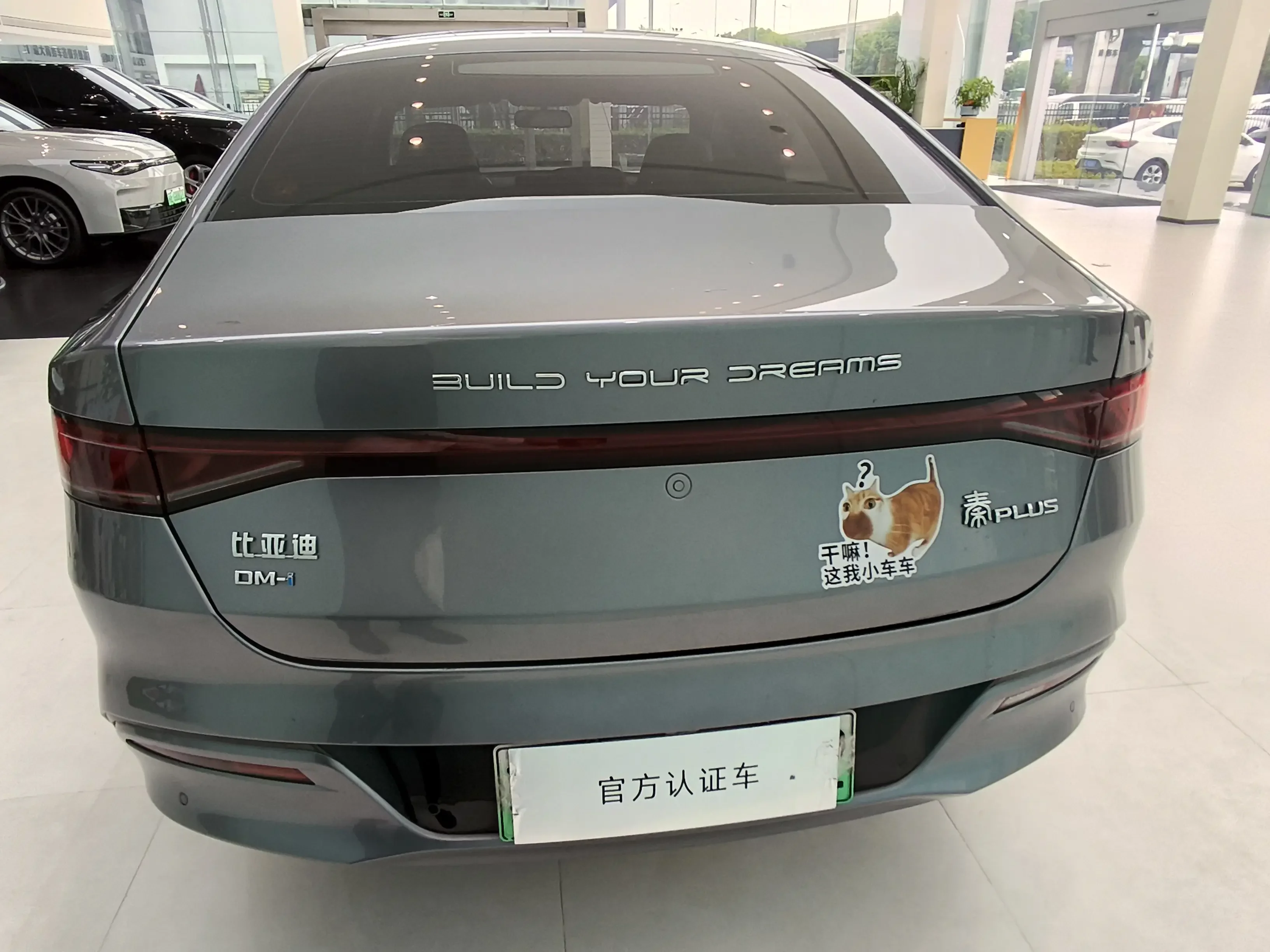 BYD Qin PLUS DM