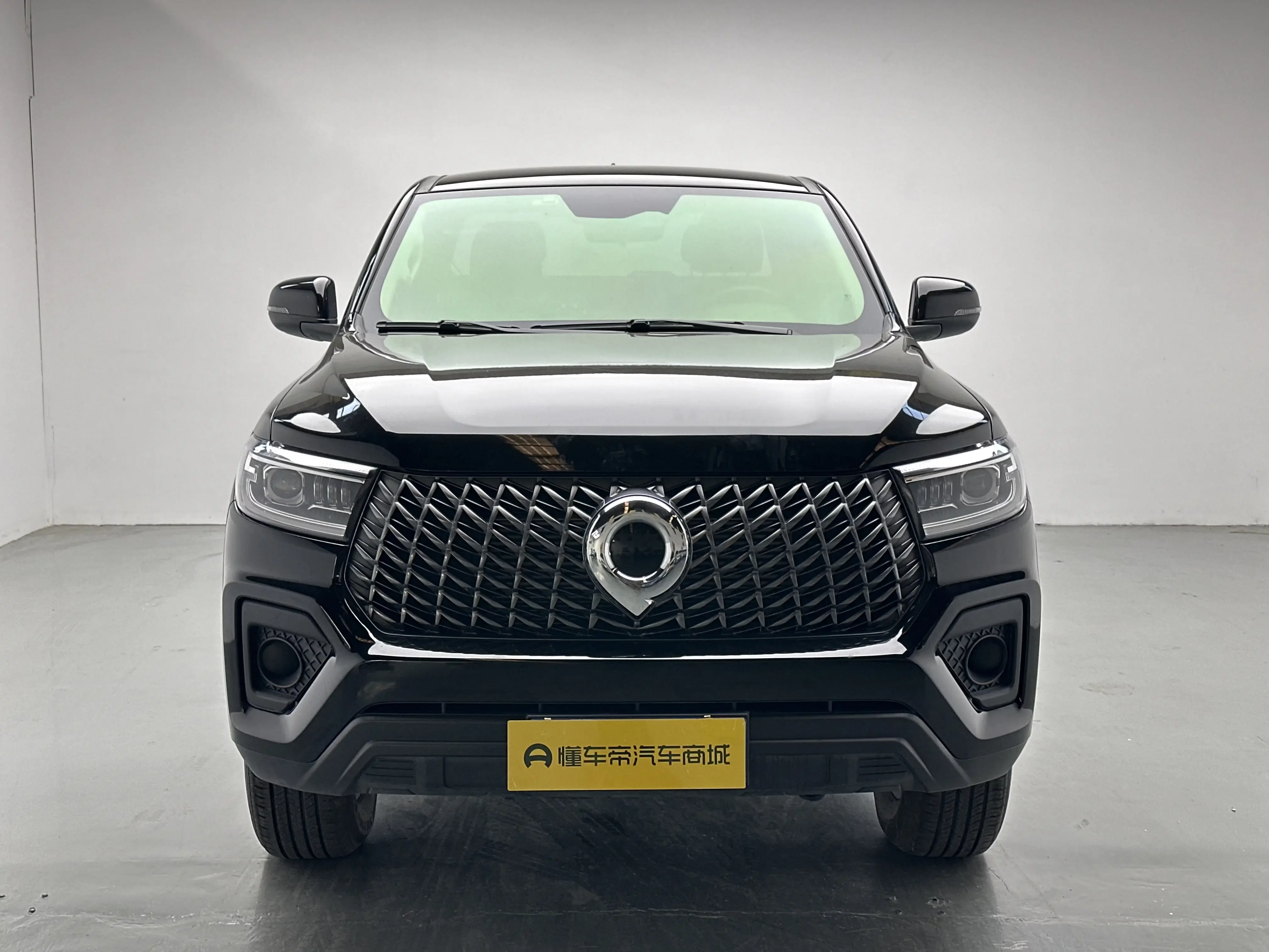 Great Wall Poer