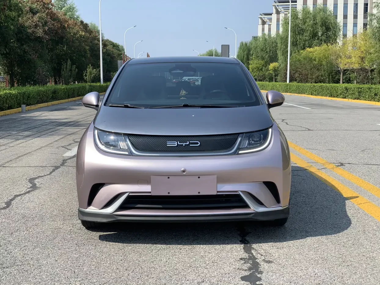 BYD Dolphin
