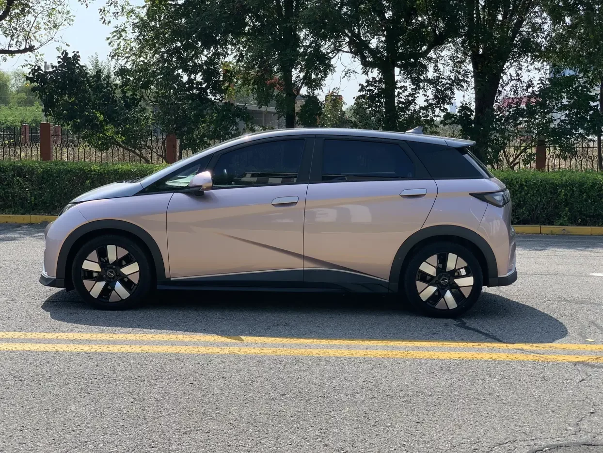 BYD Dolphin