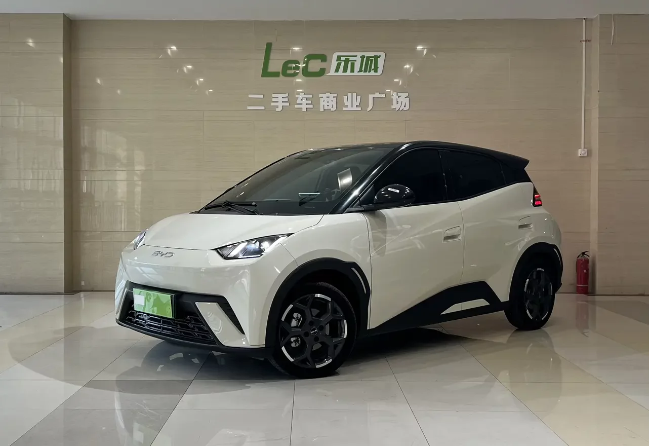 BYD Seagull