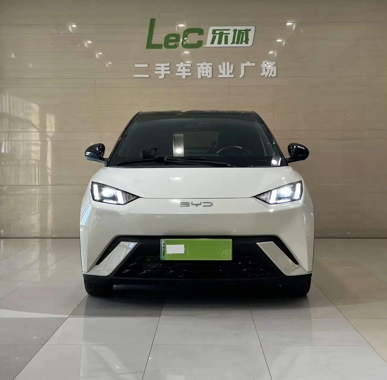 BYD Seagull