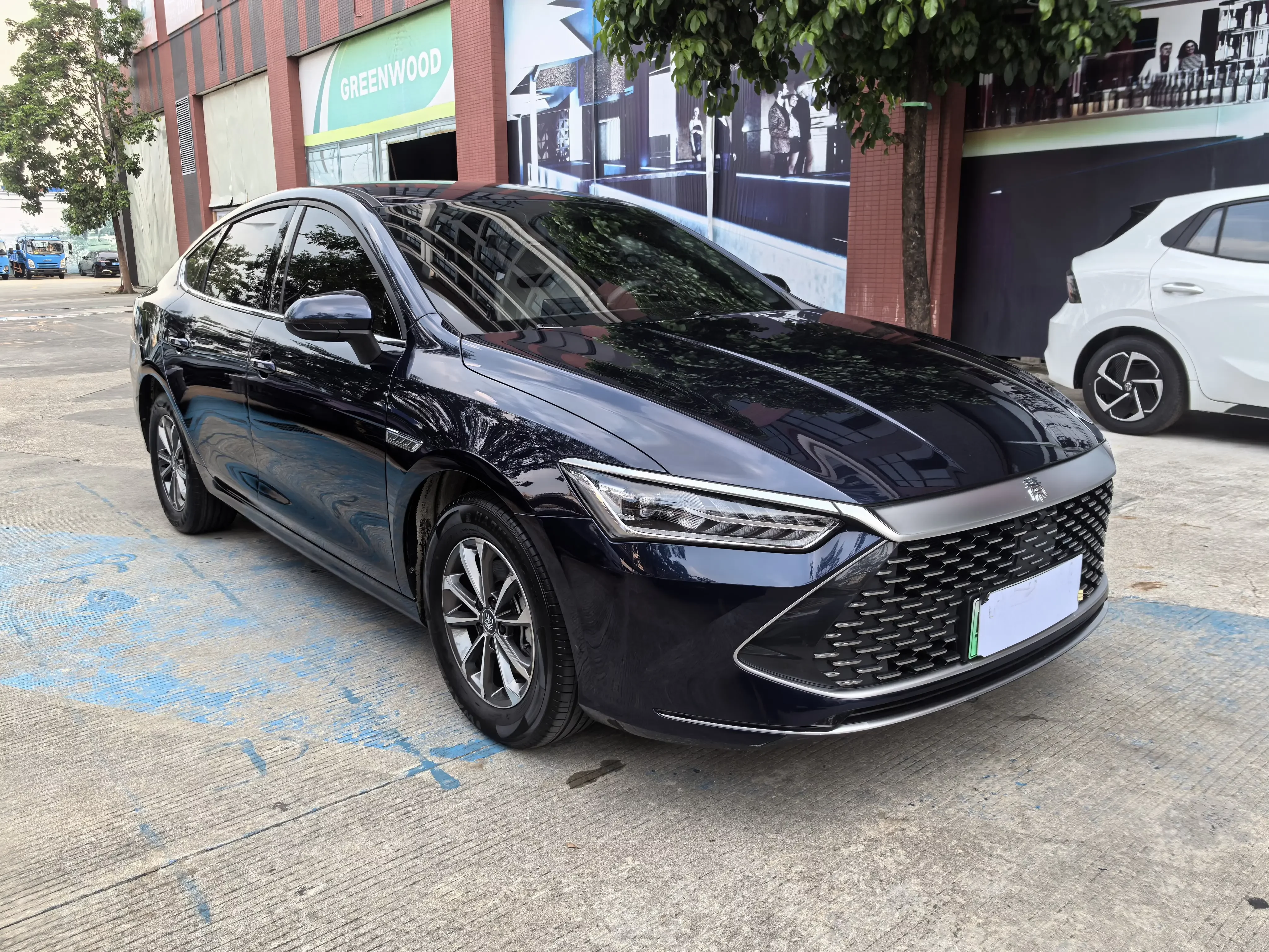 BYD Qin PLUS DM