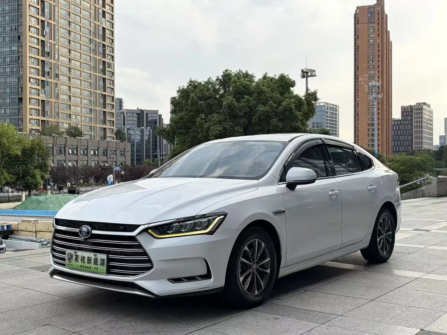 BYD Qin Pro DM