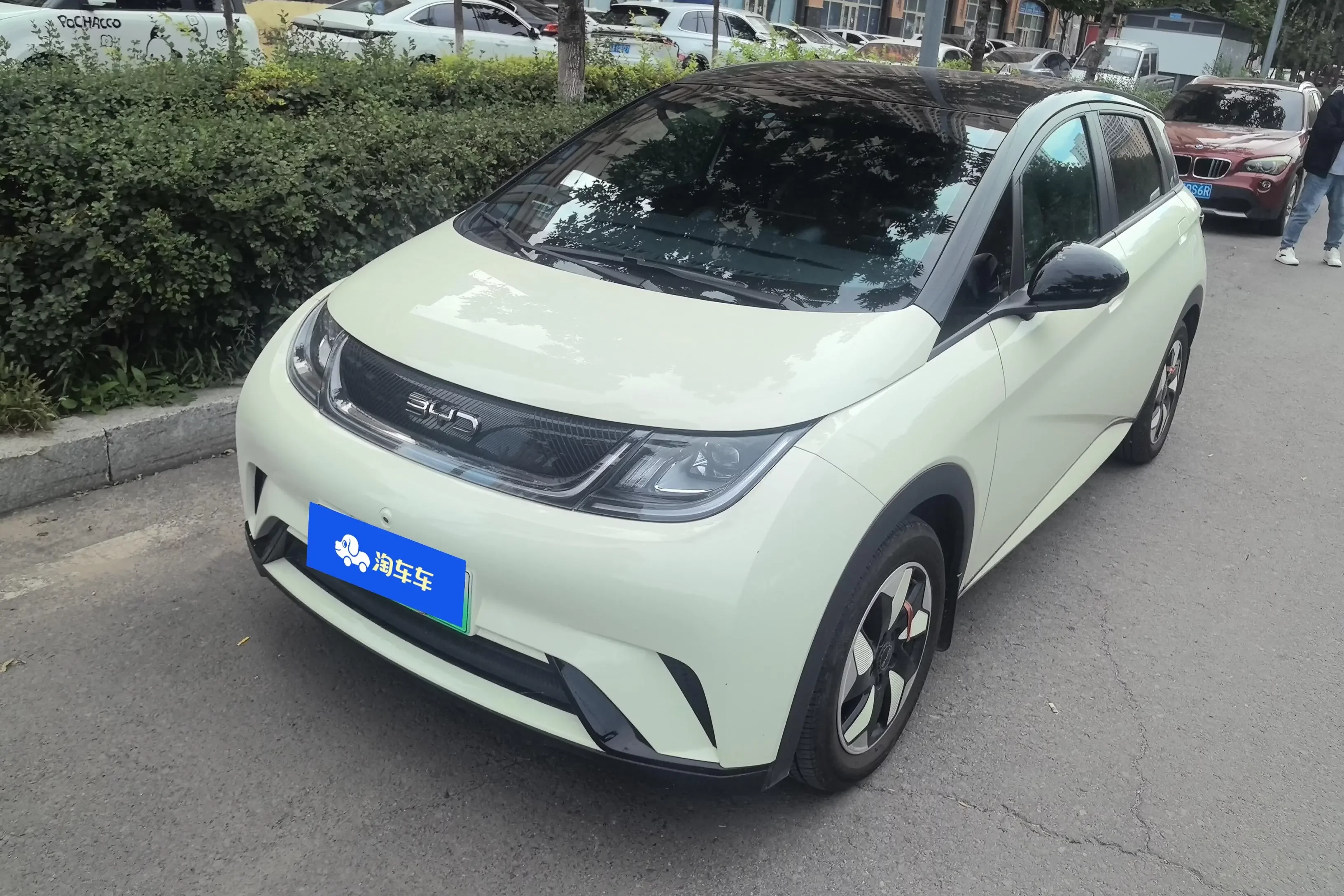 BYD Dolphin