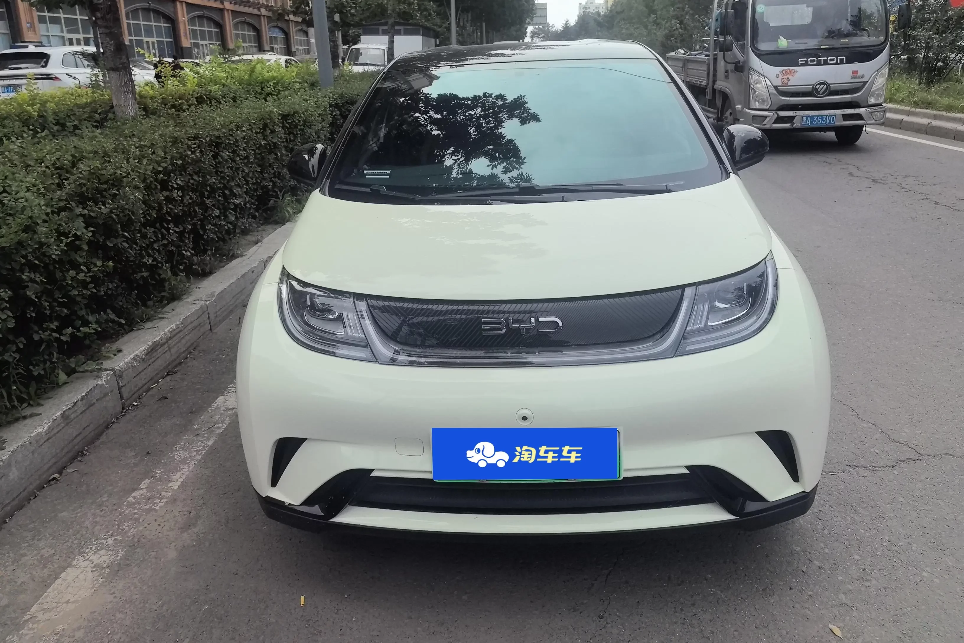 BYD Dolphin