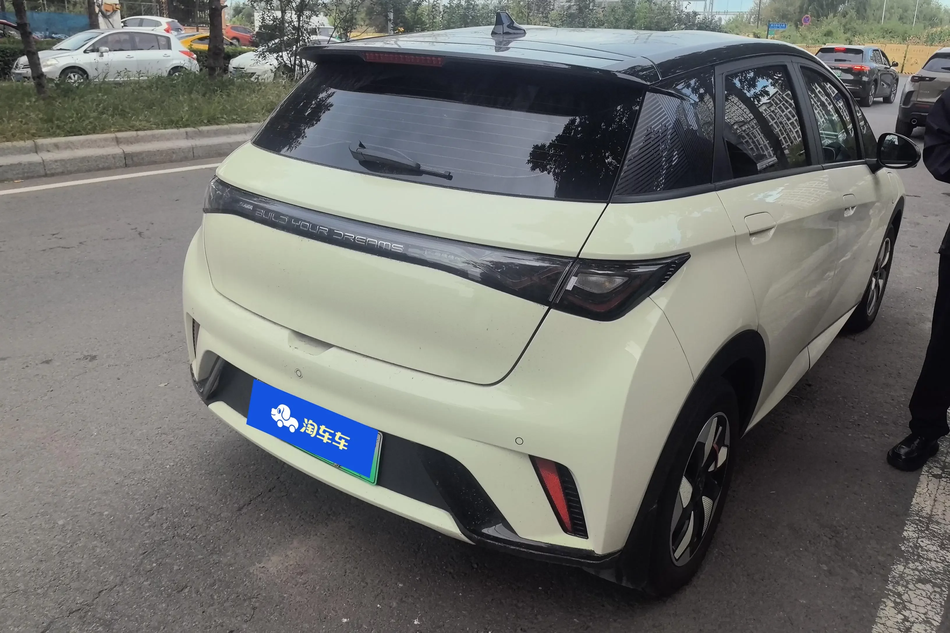 BYD Dolphin