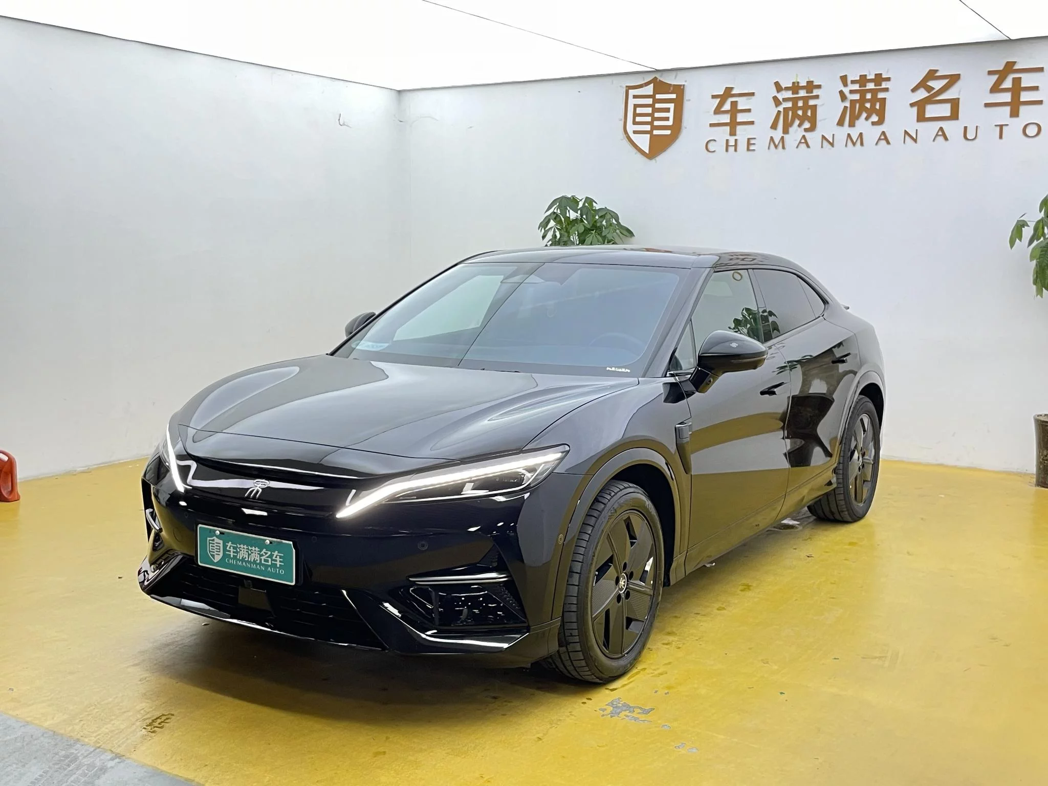 BYD Song L EV