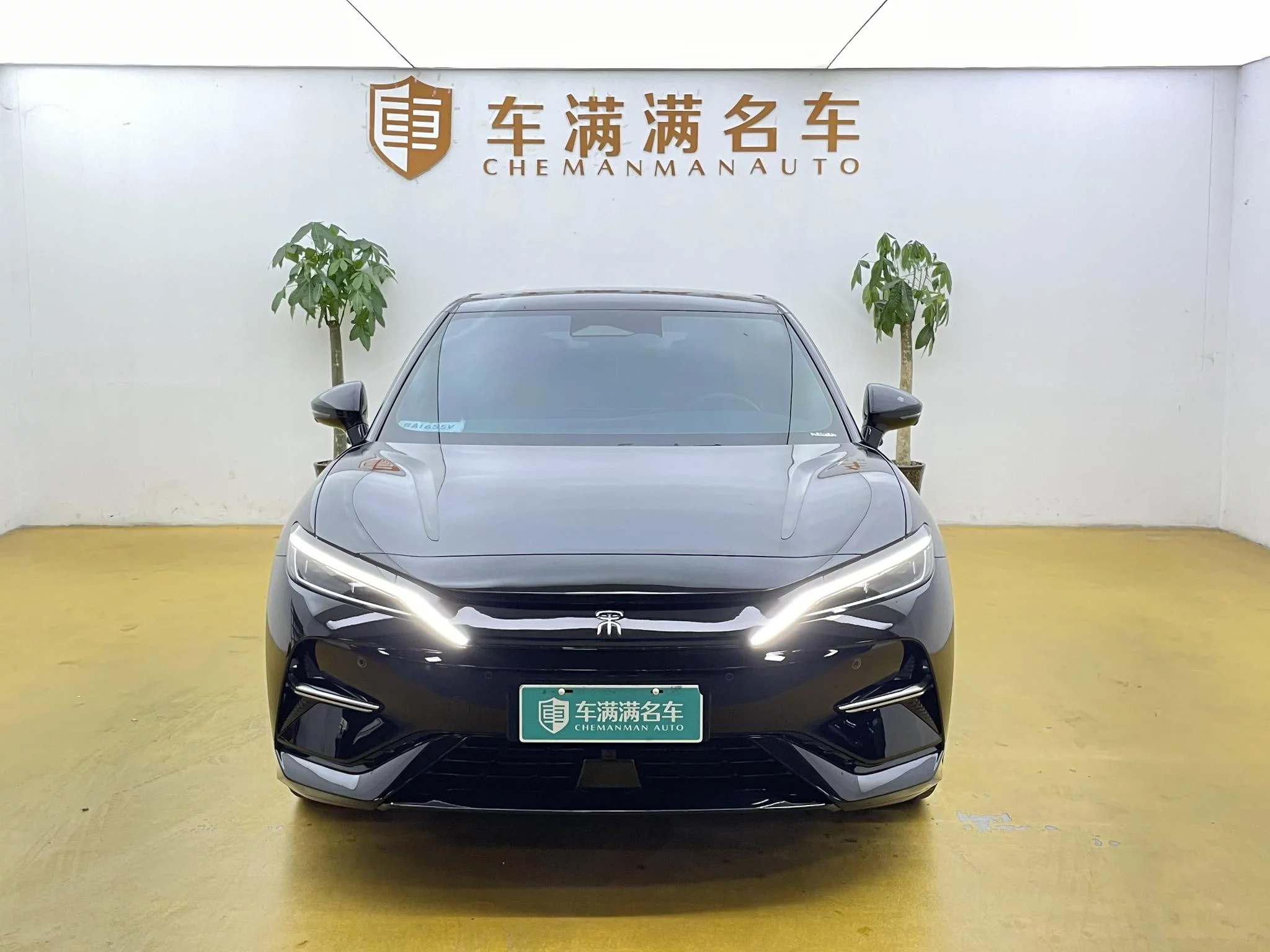 BYD Song L EV