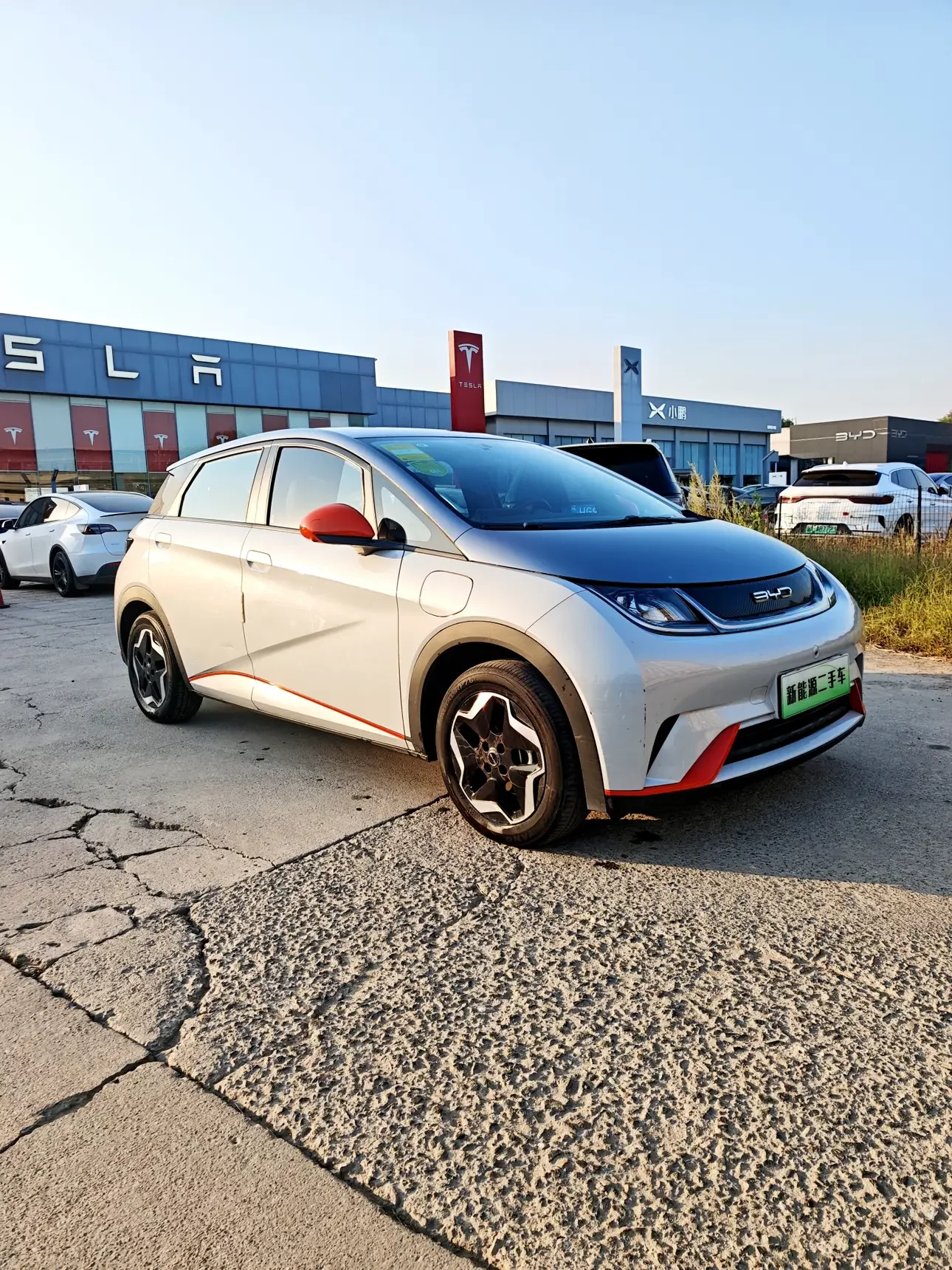 BYD Dolphin