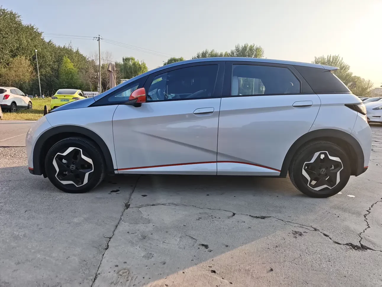 BYD Dolphin