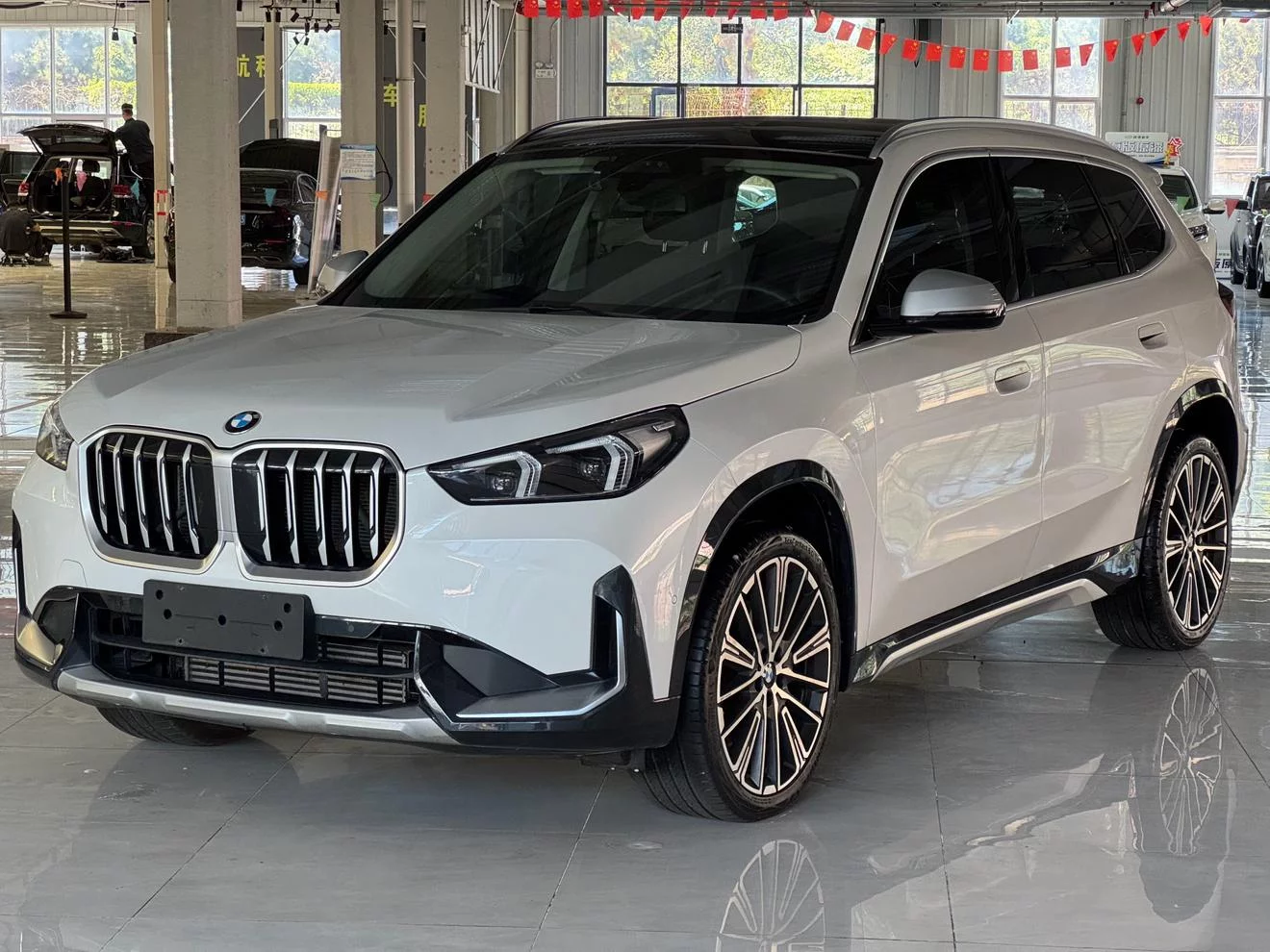 BMW X1