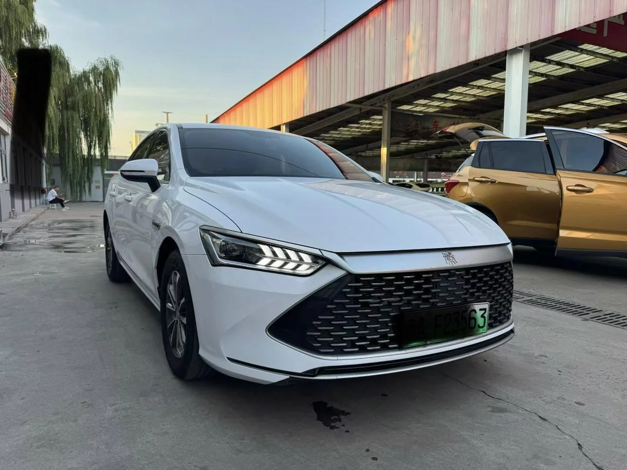 BYD Qin PLUS DM