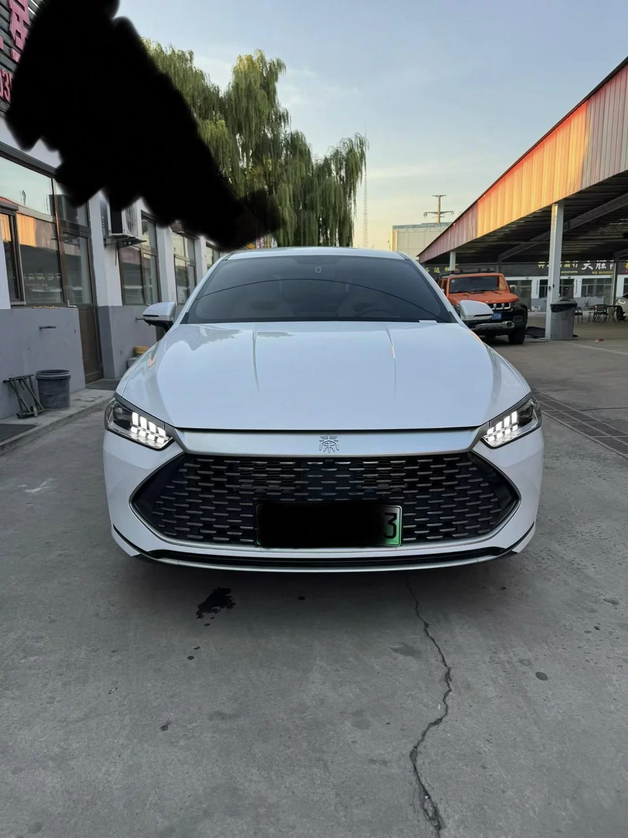BYD Qin PLUS DM