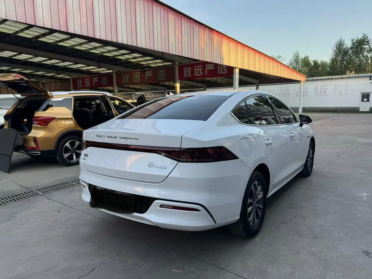 BYD Qin PLUS DM