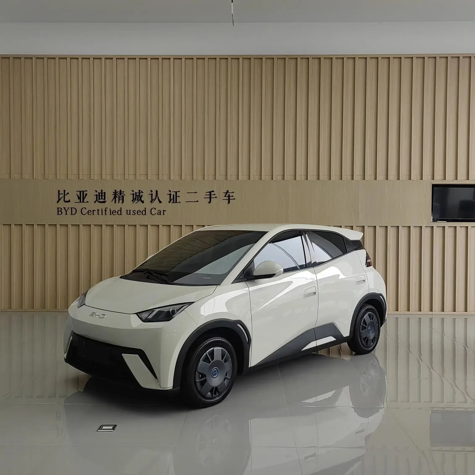 BYD Seagull