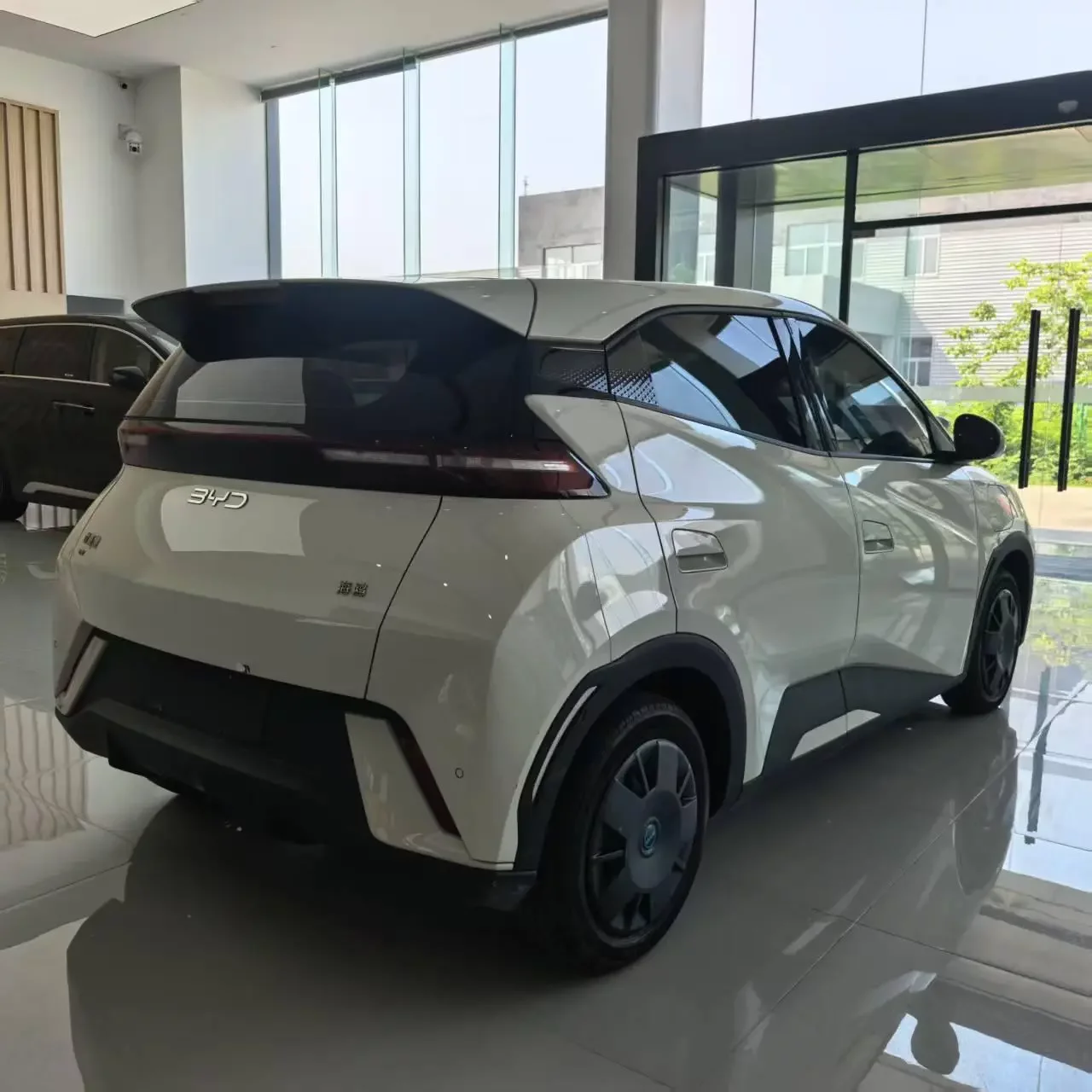 BYD Seagull