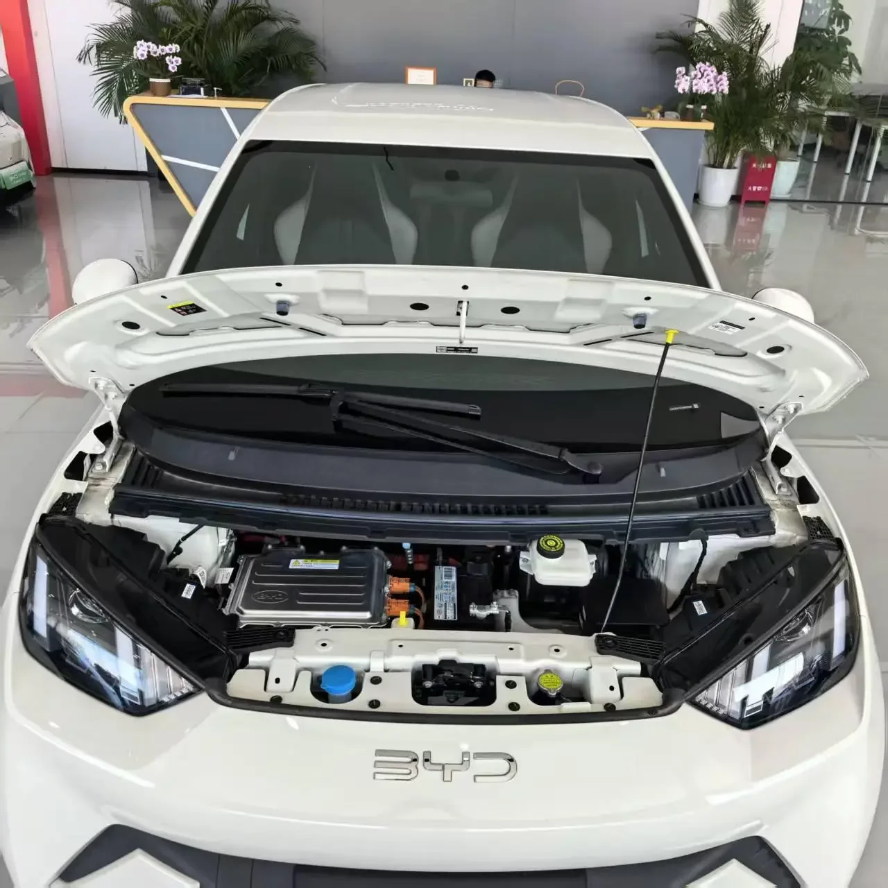BYD Seagull