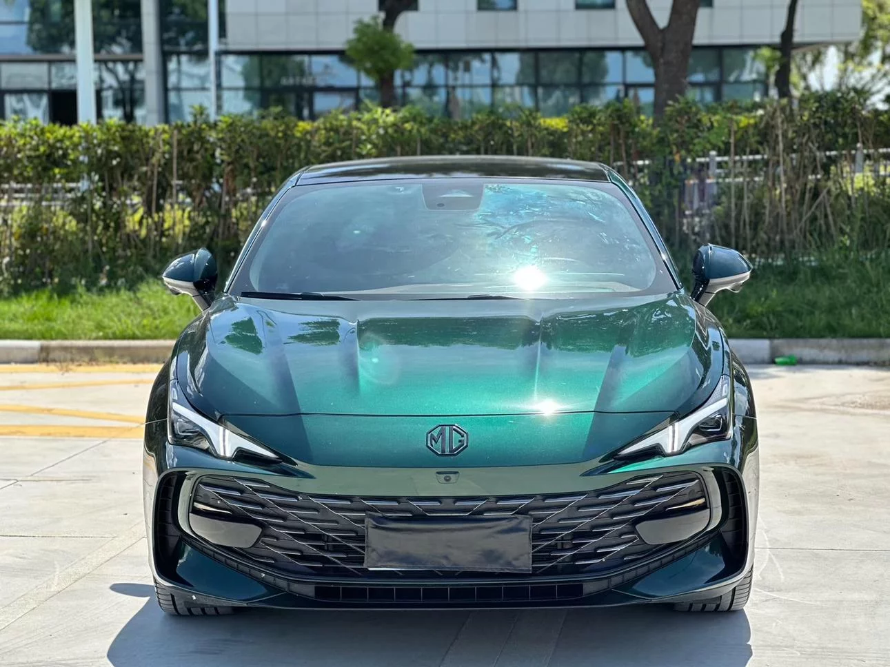 MG 7