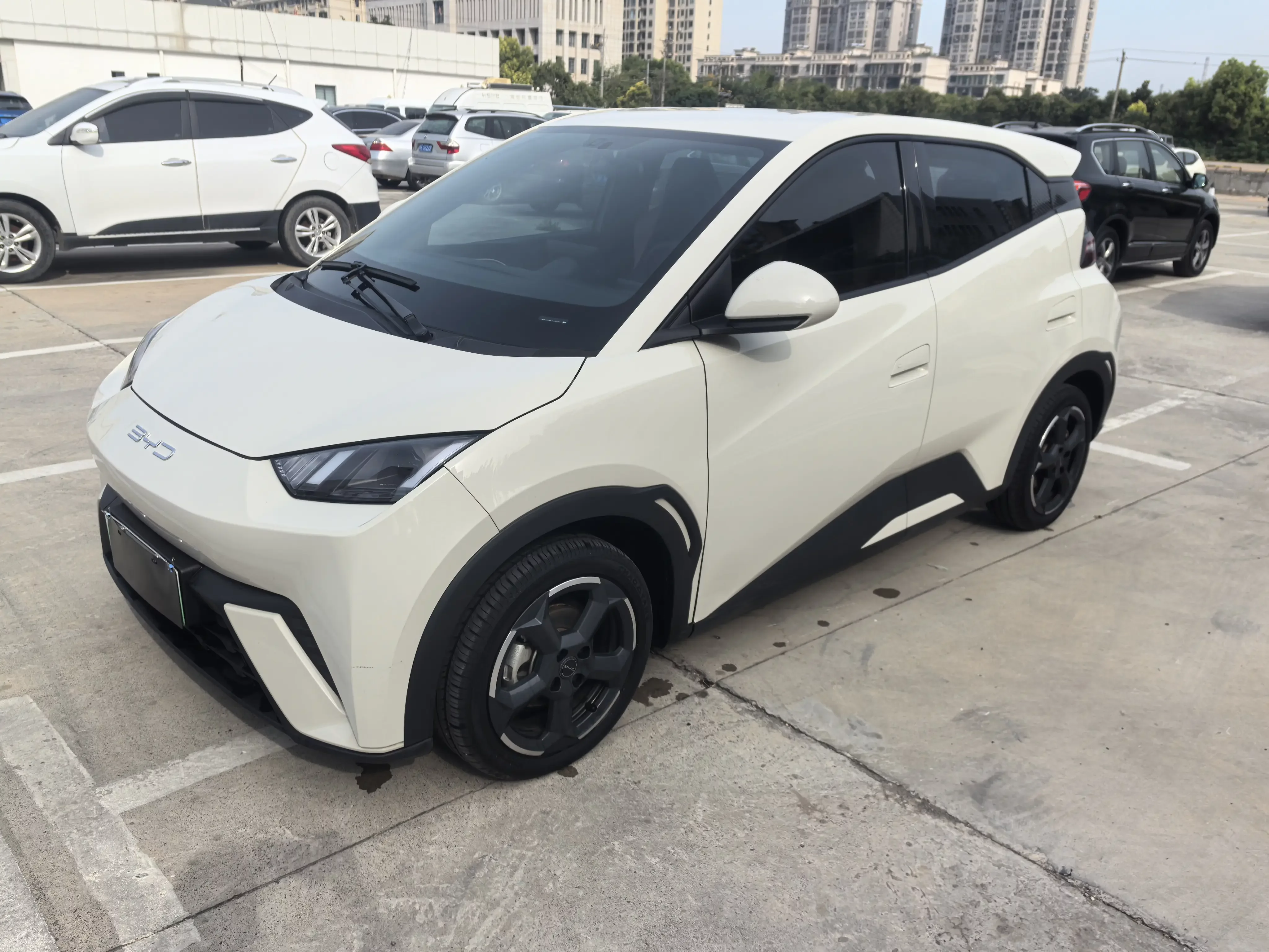 BYD Seagull