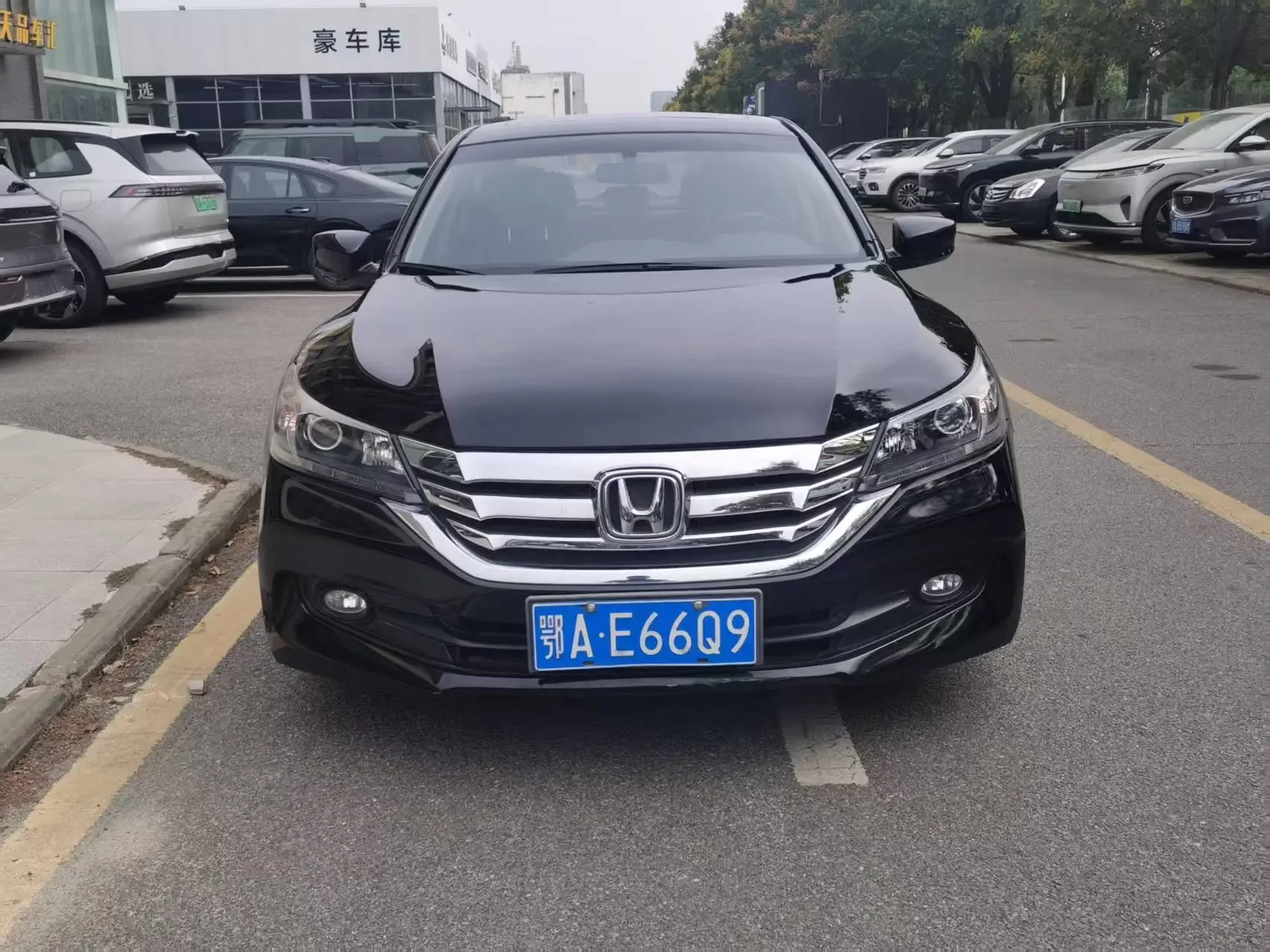 Honda Accord