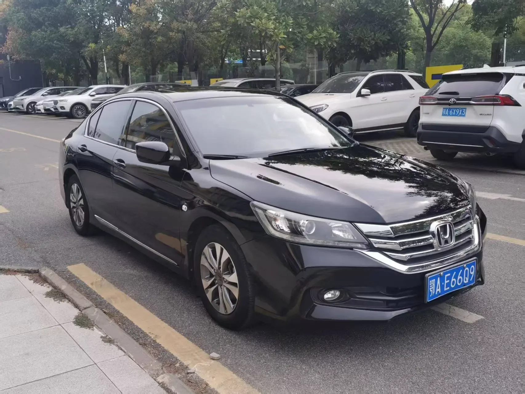Honda Accord