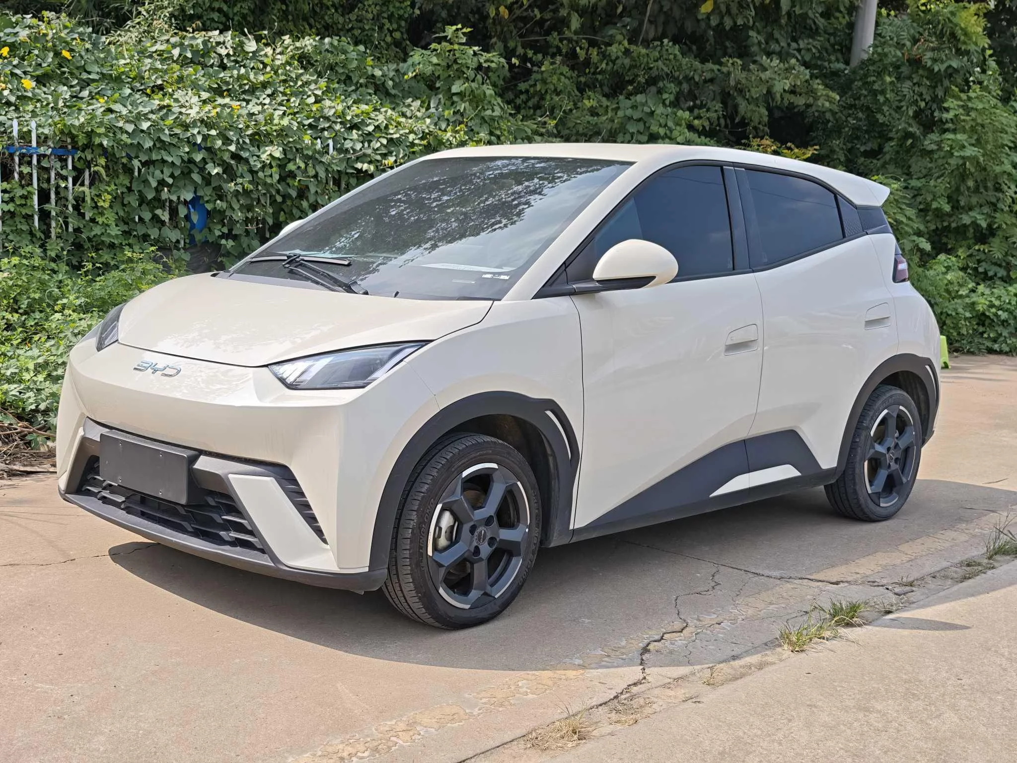 BYD Seagull