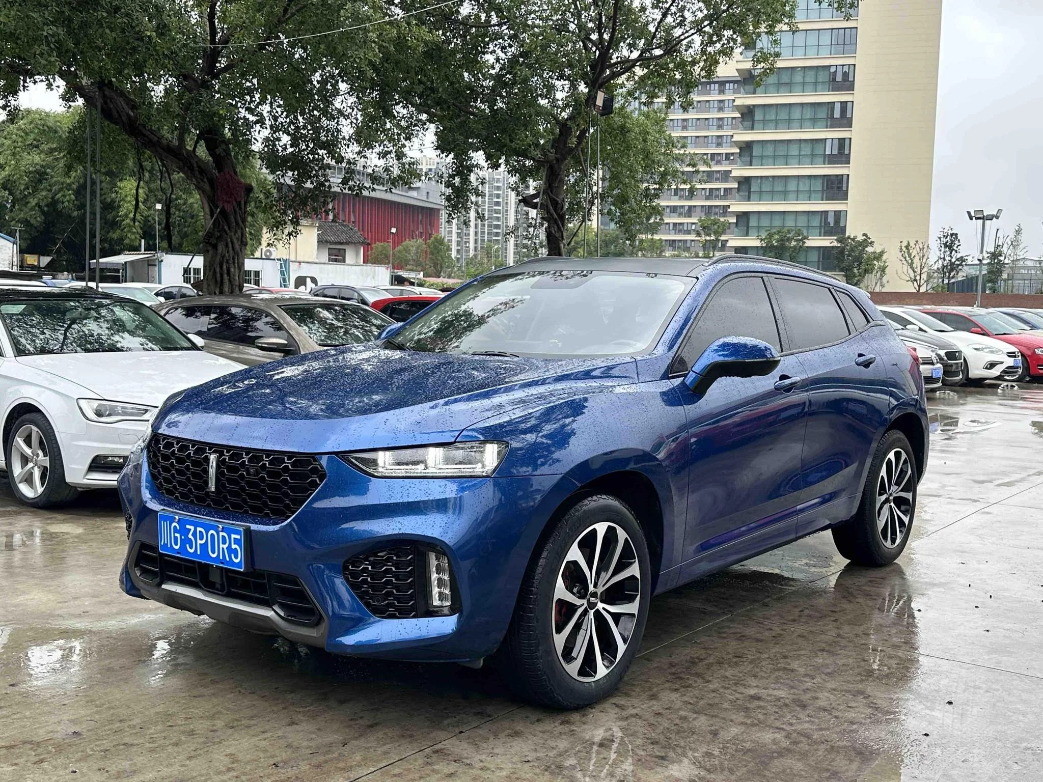 Wey Wei brand VV7