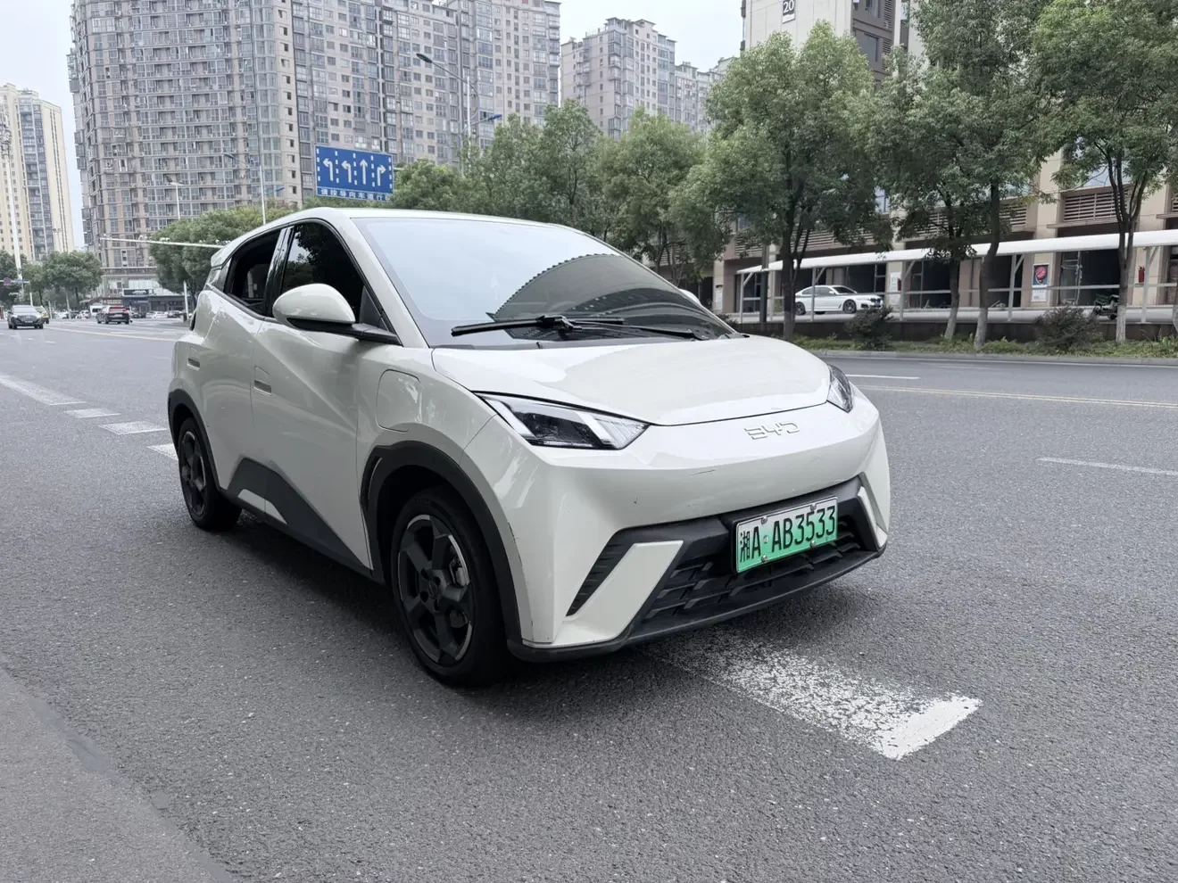 BYD Seagull