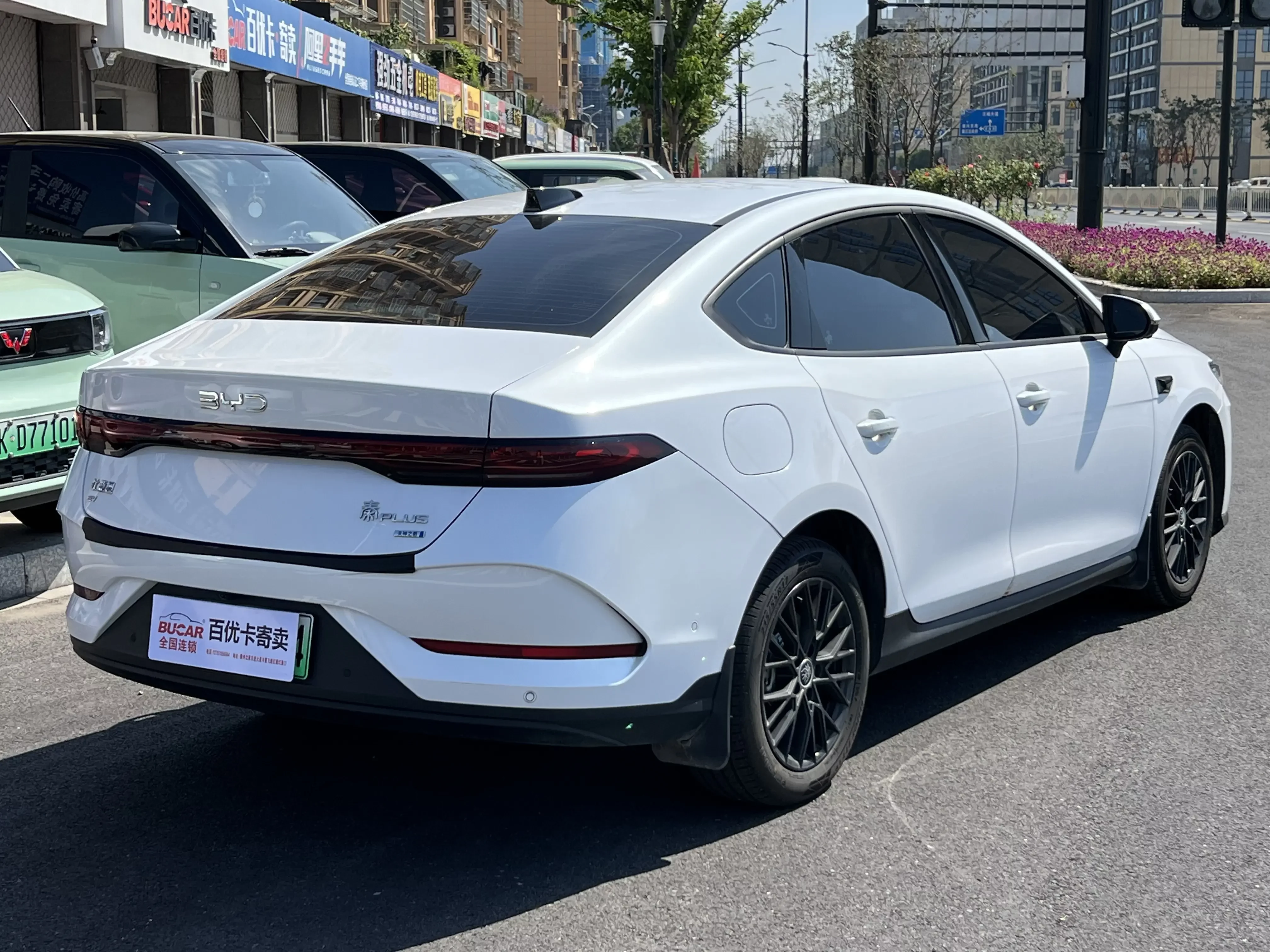 BYD Qin PLUS EV