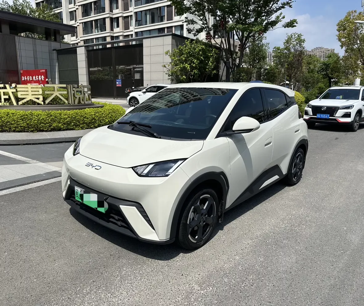 BYD Seagull