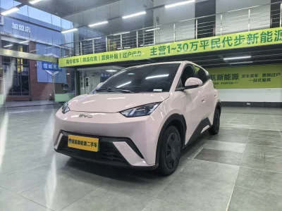 BYD Seagull