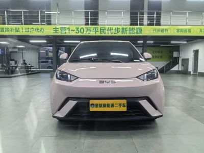 BYD Seagull