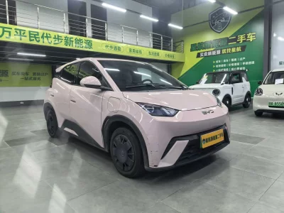 BYD Seagull