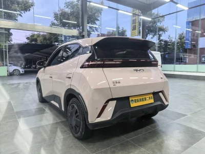 BYD Seagull