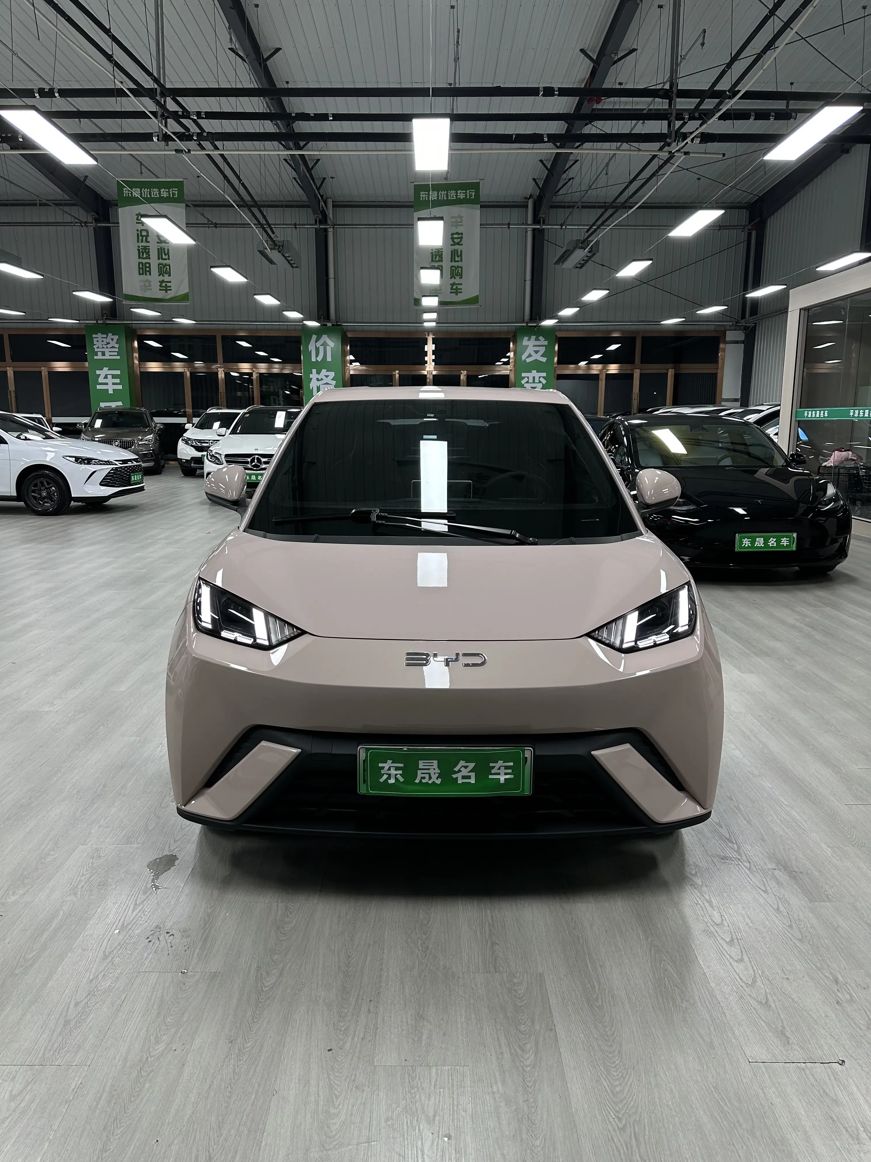 BYD Seagull
