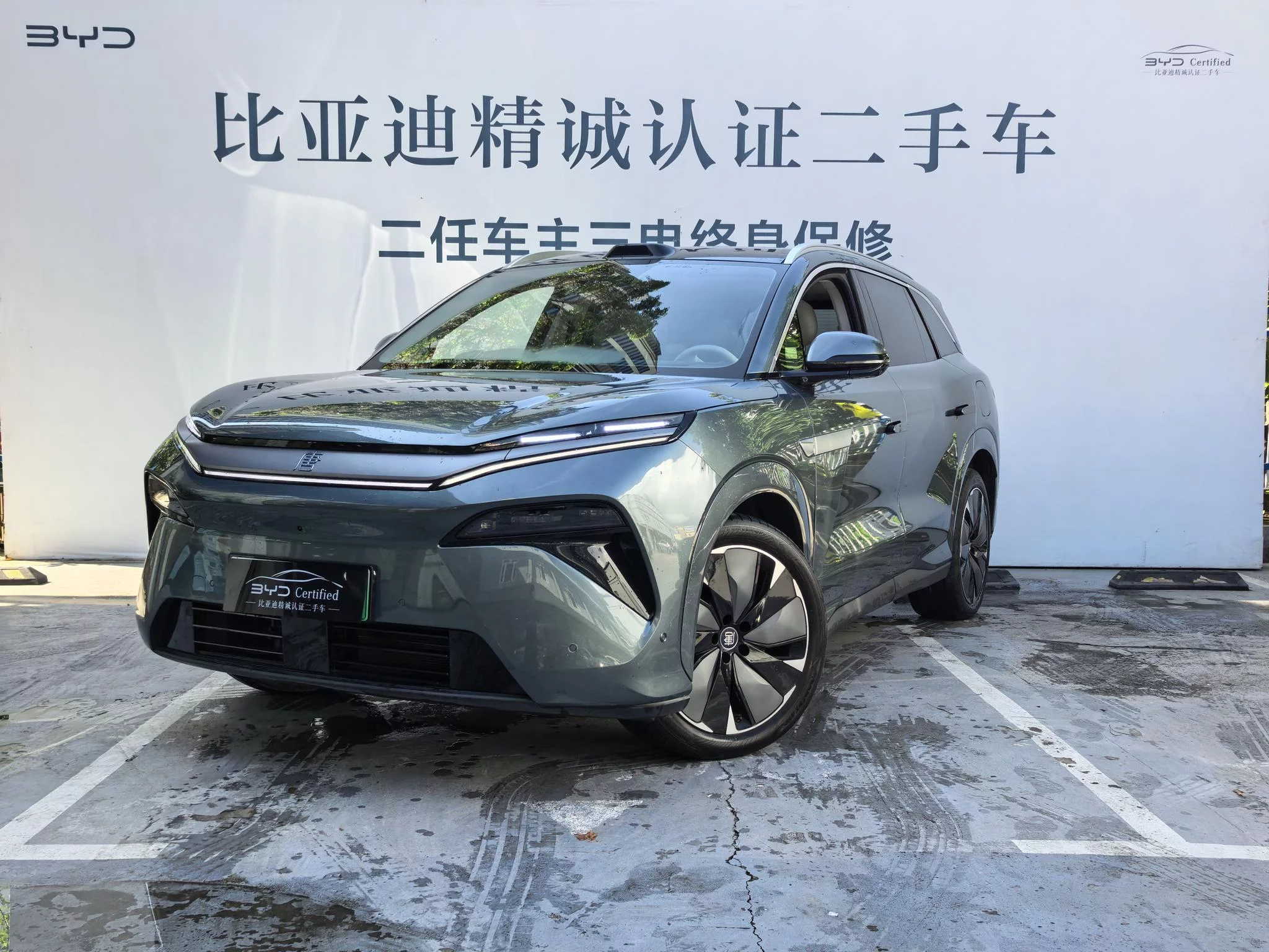 BYD Tang L EV