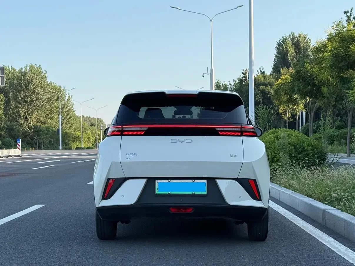 BYD Seagull