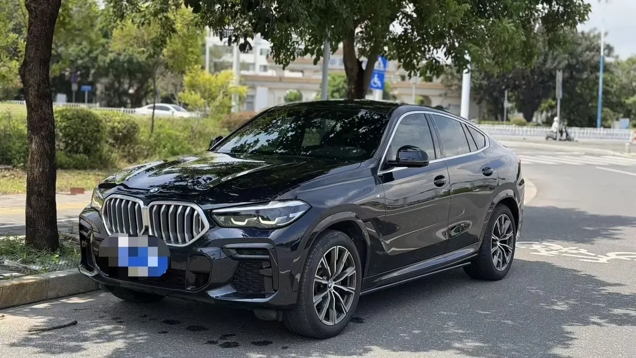 BMW X6