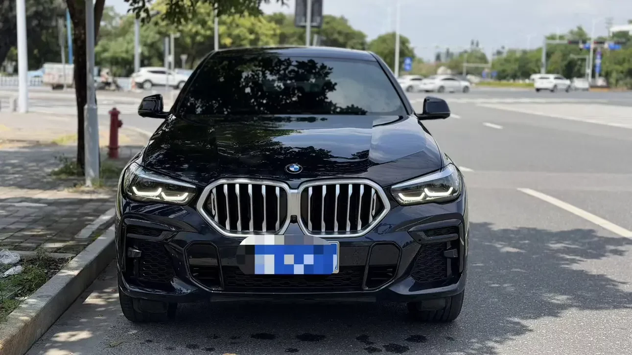 BMW X6