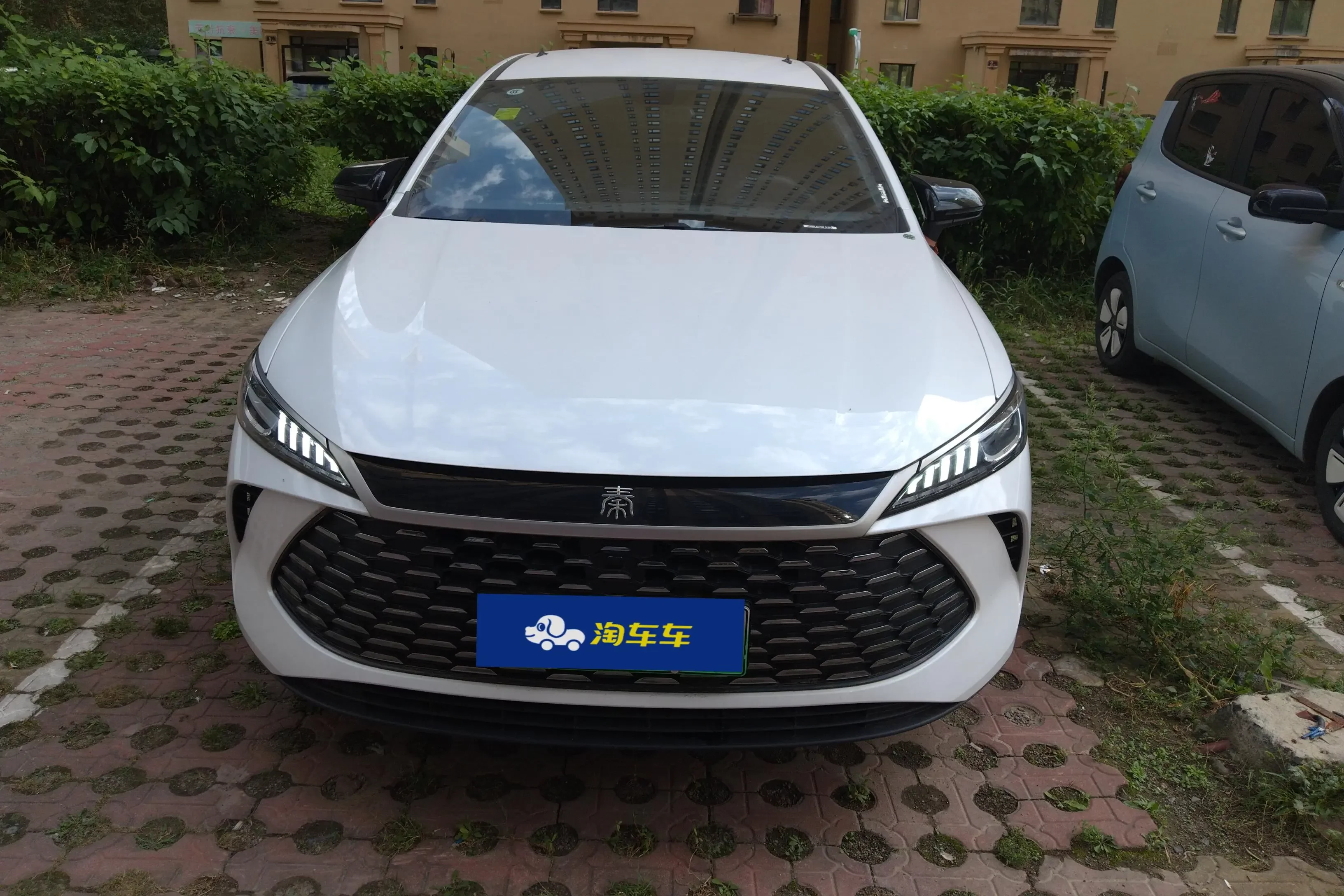 BYD Qin PLUS DM