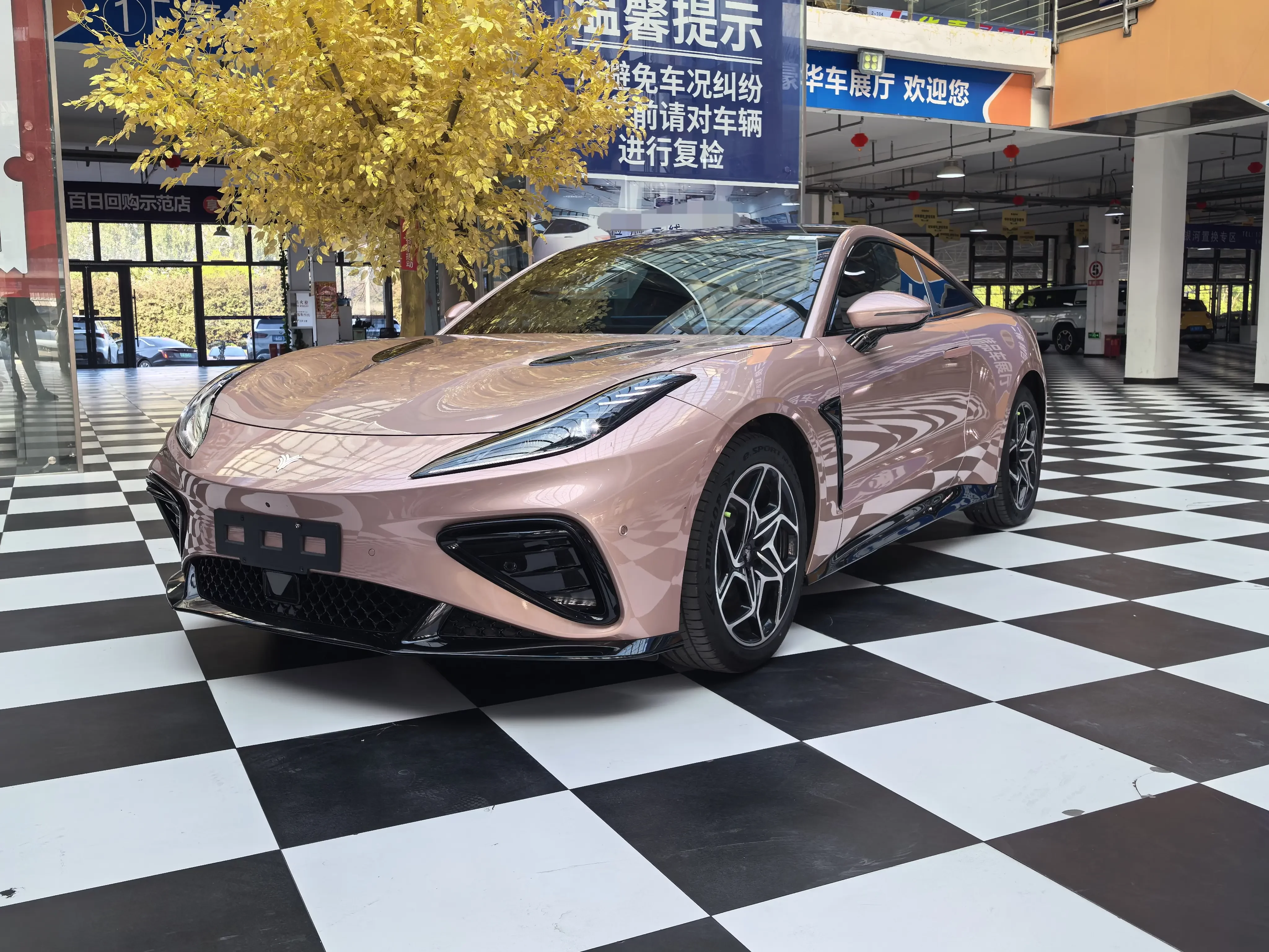 NETA GT