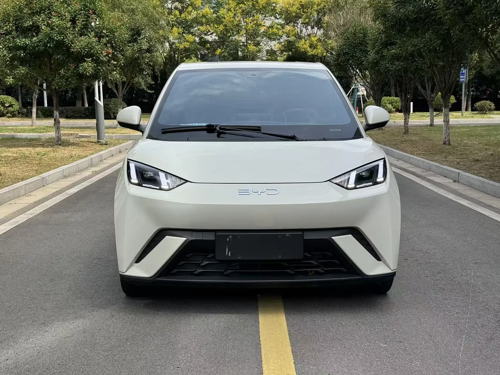 BYD Seagull