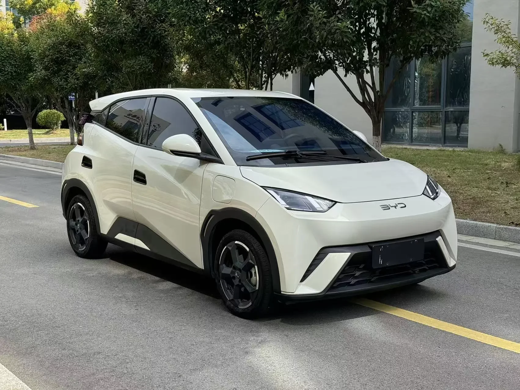 BYD Seagull