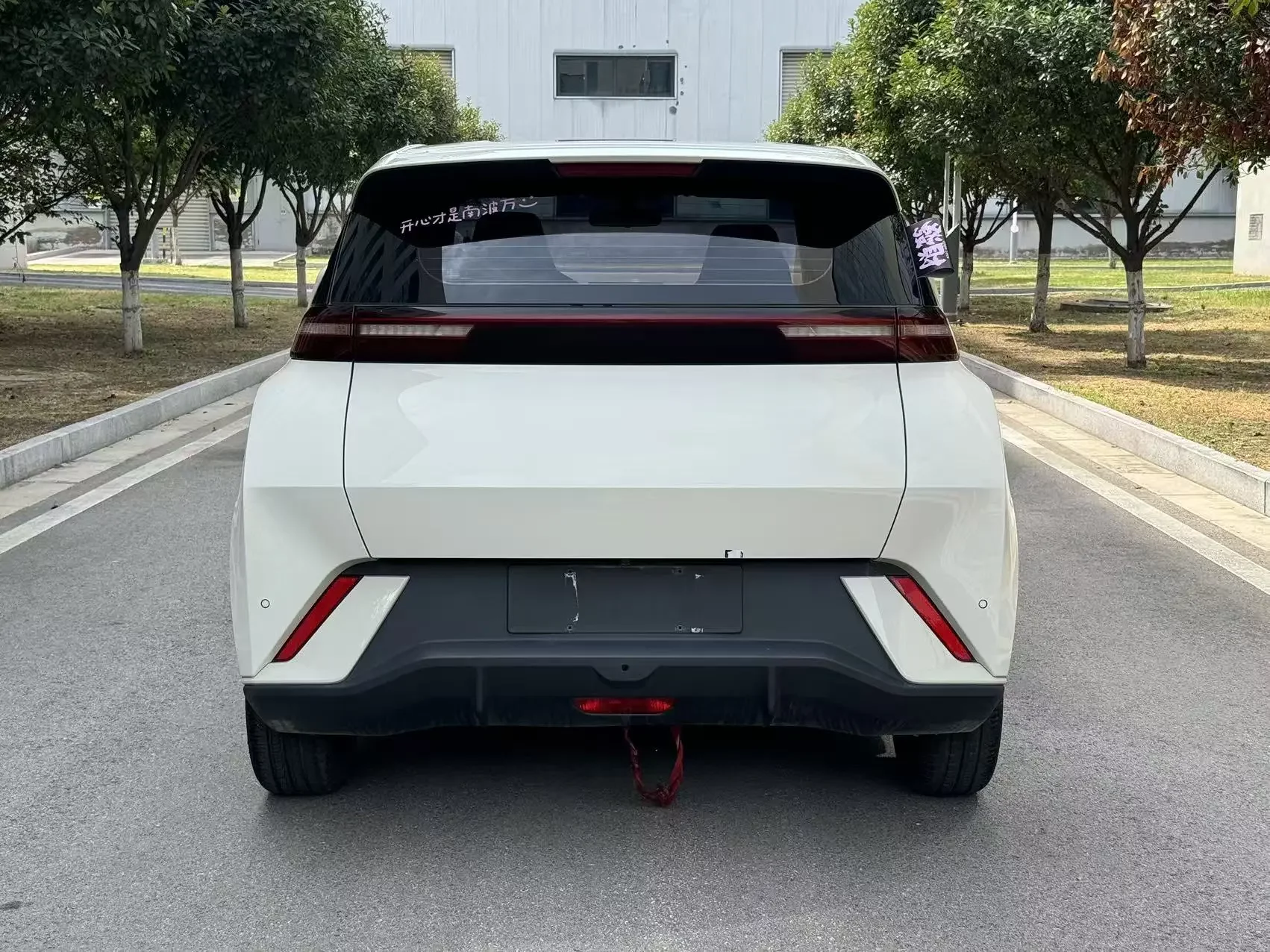 BYD Seagull