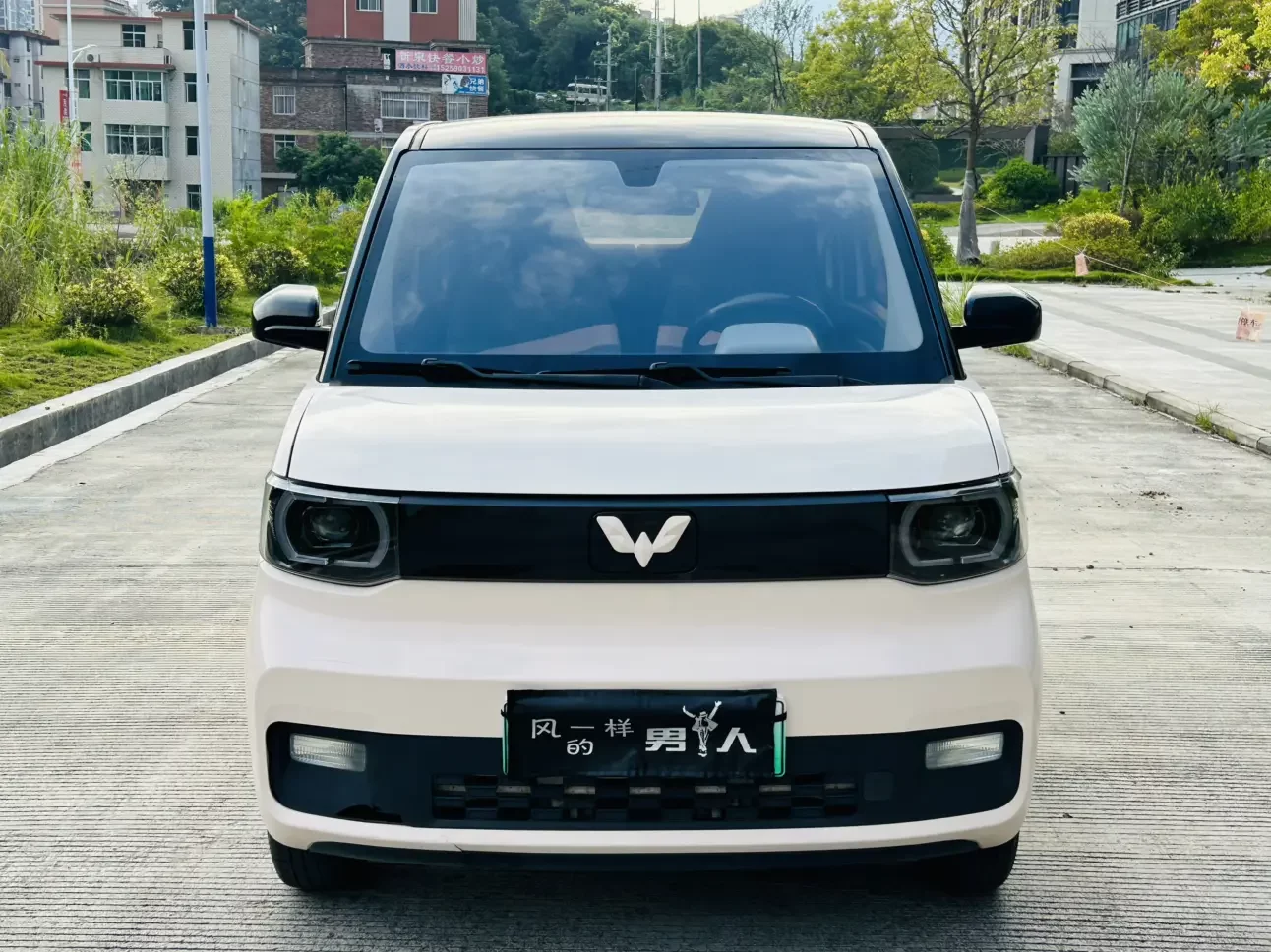 Wuling Hongguang MINIEV